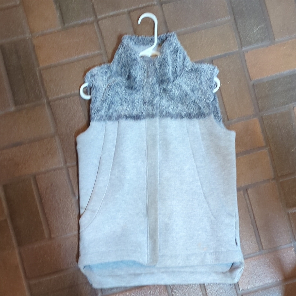 The North Face Gray and Blue Vest